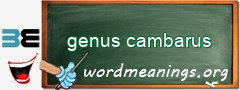 WordMeaning blackboard for genus cambarus